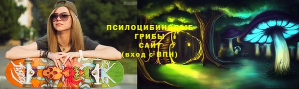 PSILOCYBIN Алексин