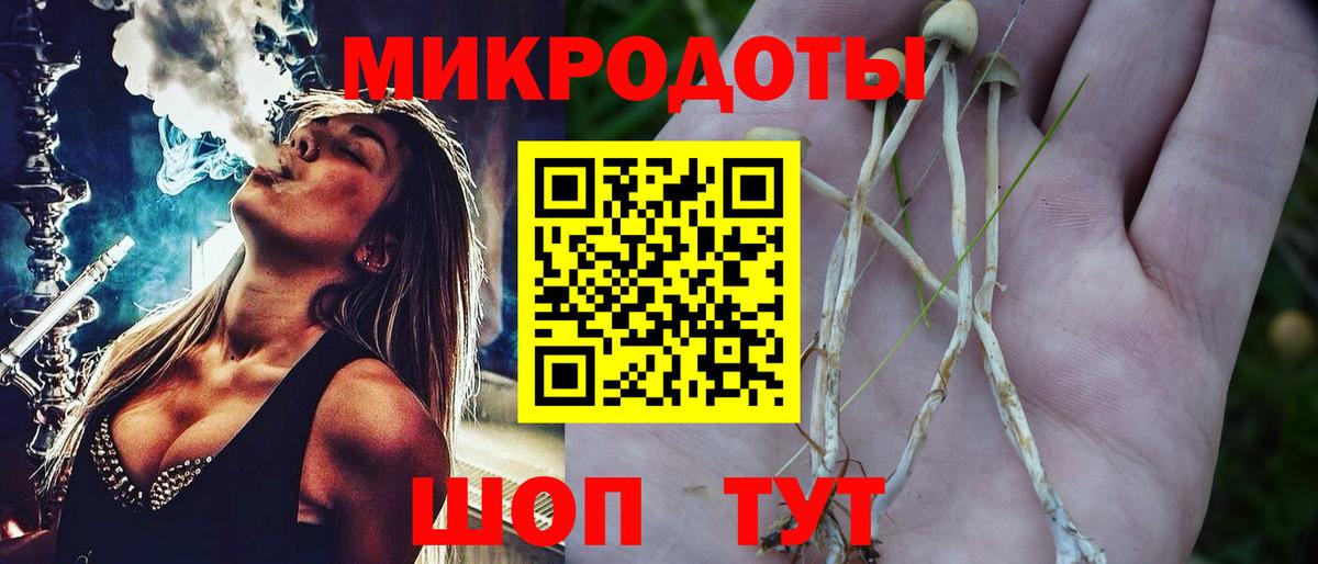 Лобня  как найти   Вход с VPN  Галлюциногенные грибы мицелий 